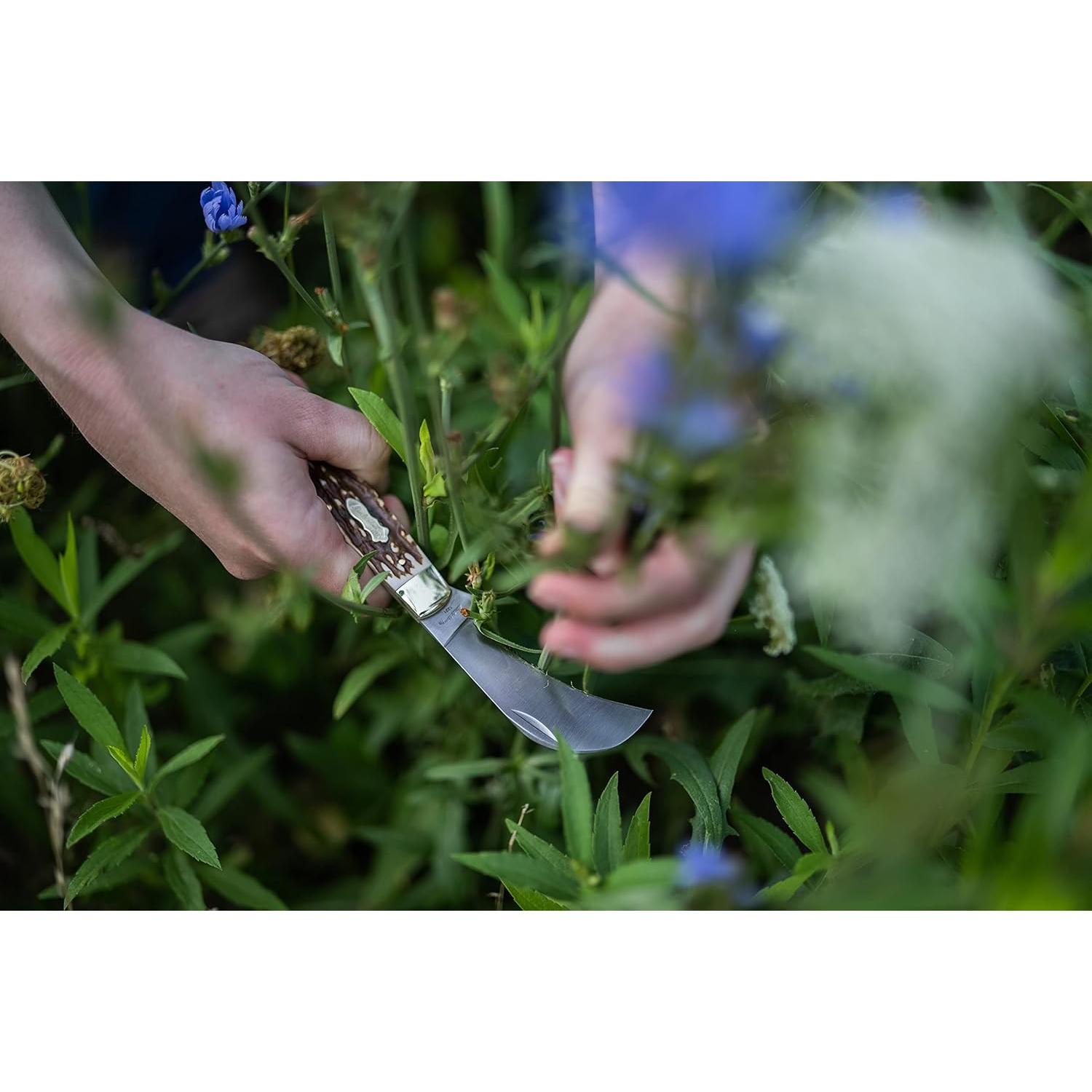 Tijera Plegable Hawkbill Uncle Henry 16UH 17.8 cm Caza Camping