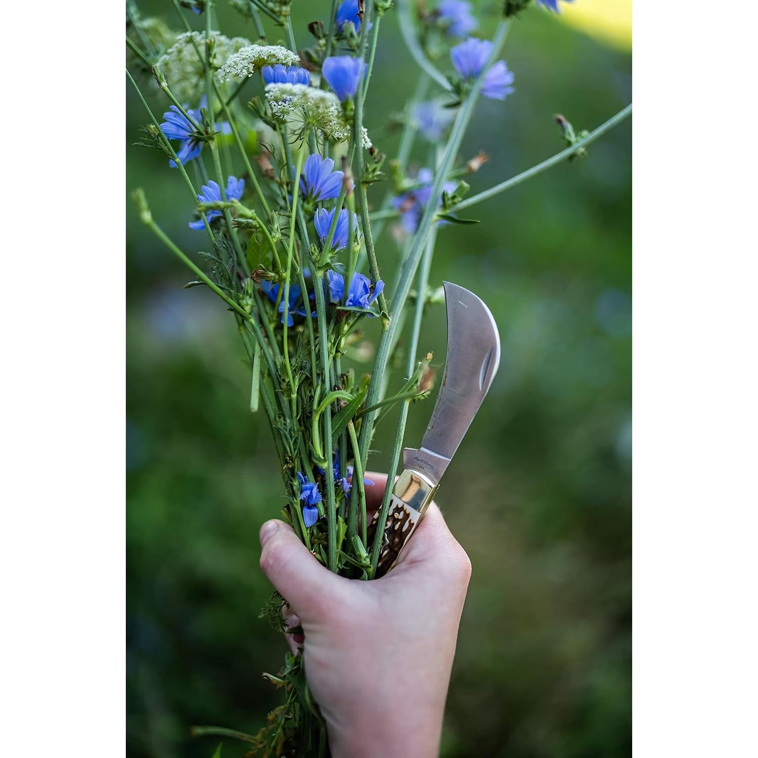 Tijera Plegable Hawkbill Uncle Henry 16UH 17.8 cm Caza Camping