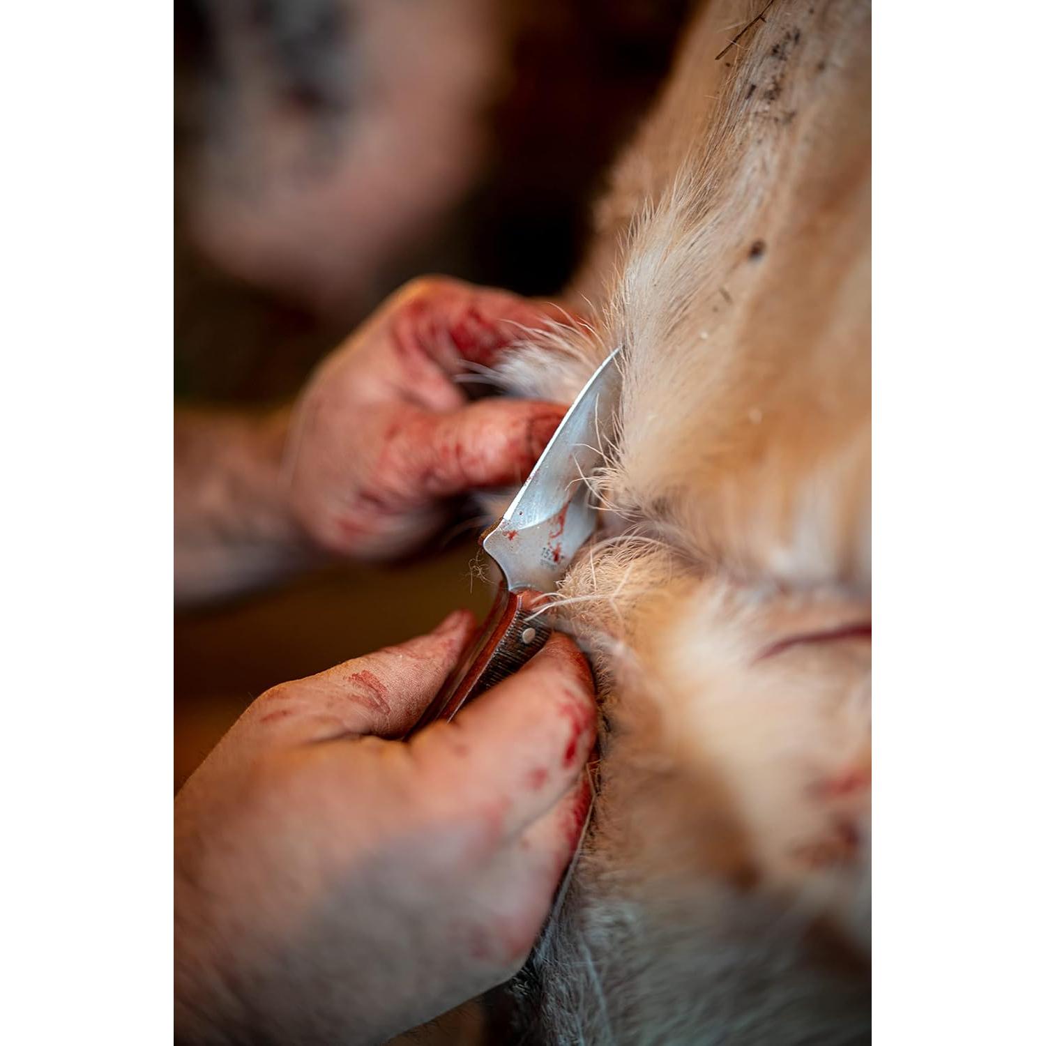 Cuchillo Fijo Old Timer 152OTG Sharpfinger Acero Inoxidable 8.9 cm