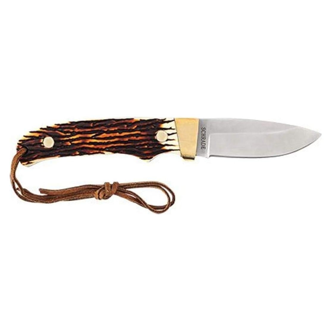 Mini Pro Hunter Small Fixed Staglon Handle Clam, PH2NCP