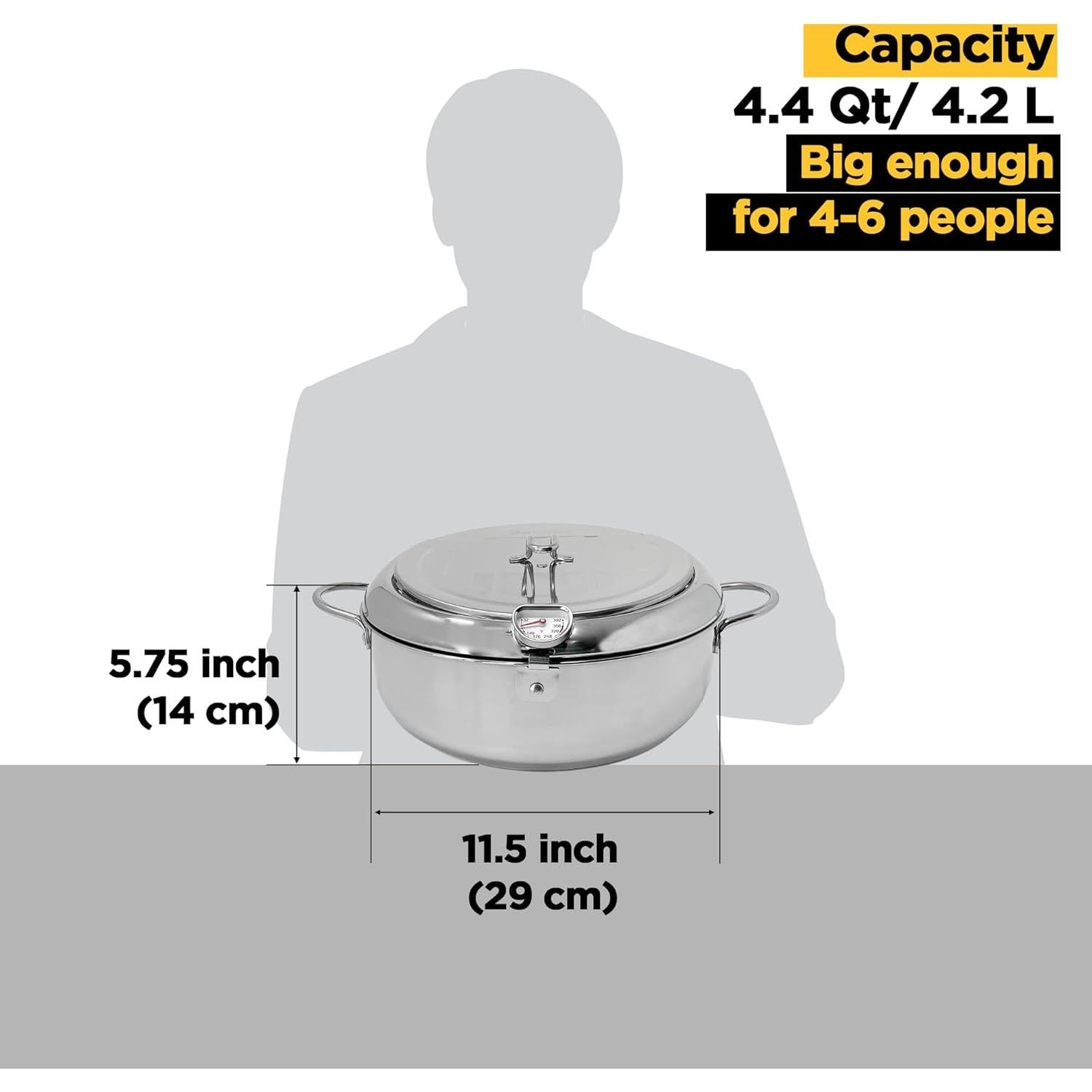 Olla de Freír Profunda Saltlas 4.2L Acero Inoxidable