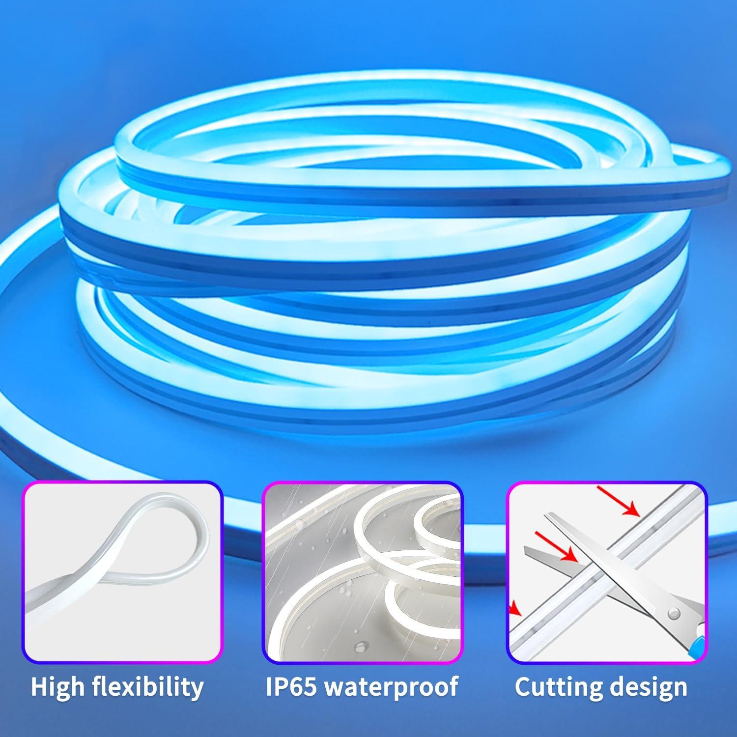 Tira LED de Neón RGB 5m Segrass DC24V Impermeable con Control Remoto