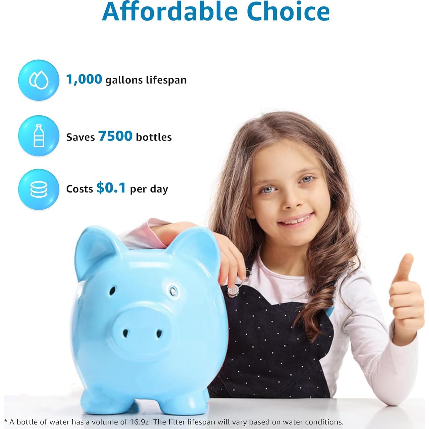 AQUA CREST Fluoride Water Filter, Replacement for Berkey® PF-2® Fluoride Reduction Elements, Berkey® Gravity Filtration System, NSF/ANSI 372 Certified, Pack of 2