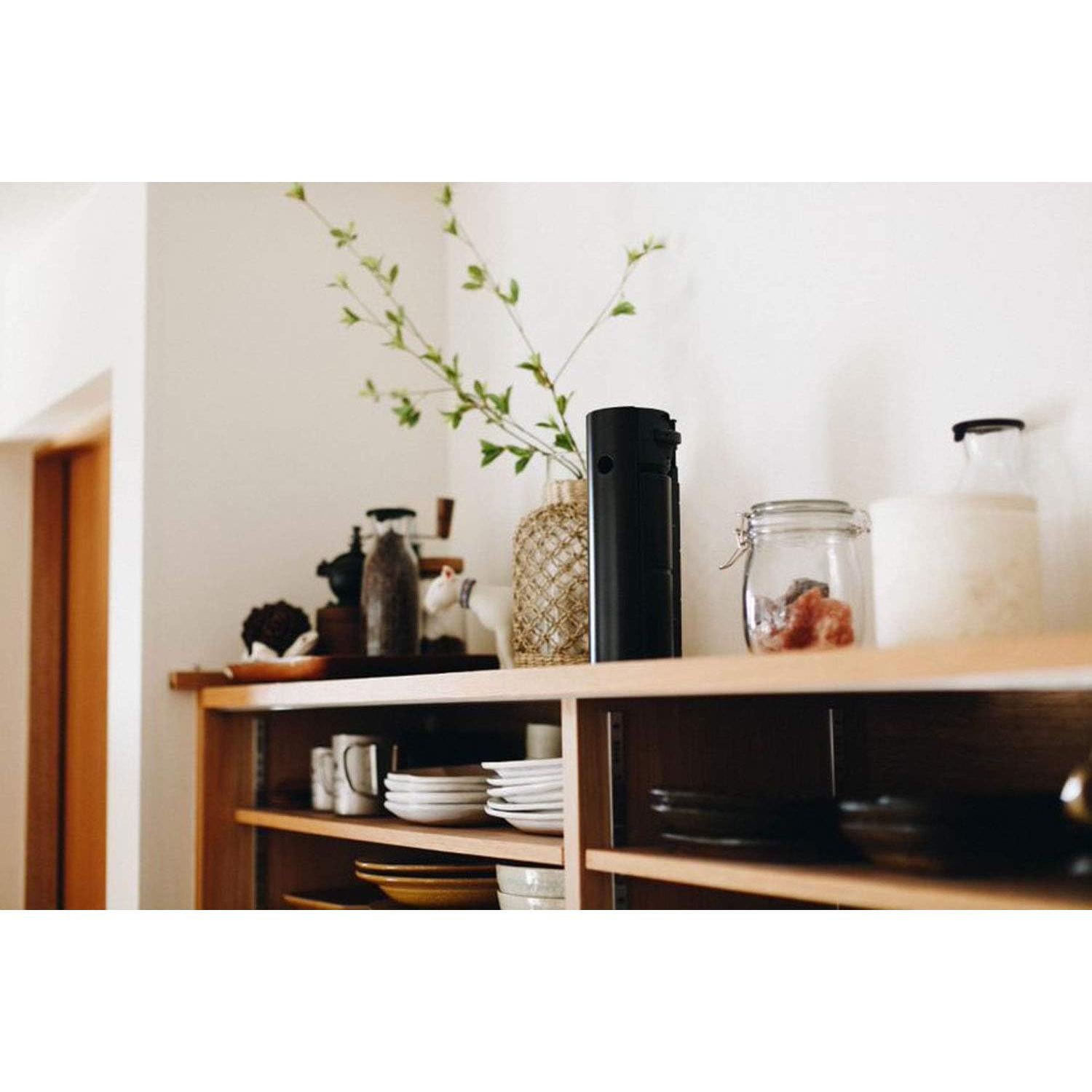 Snow Peak's Home & Camp Burner, Black, GS-600BK-US, Designed in Japan, Lifetime Product Guarantee, Lightweight and Compact for Camping, Stable Base for Cooking, One Size