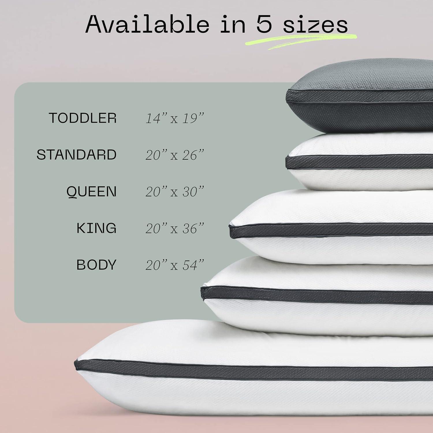 Protector de Almohada Coop Home Goods Queen Impermeable 2 Pzas