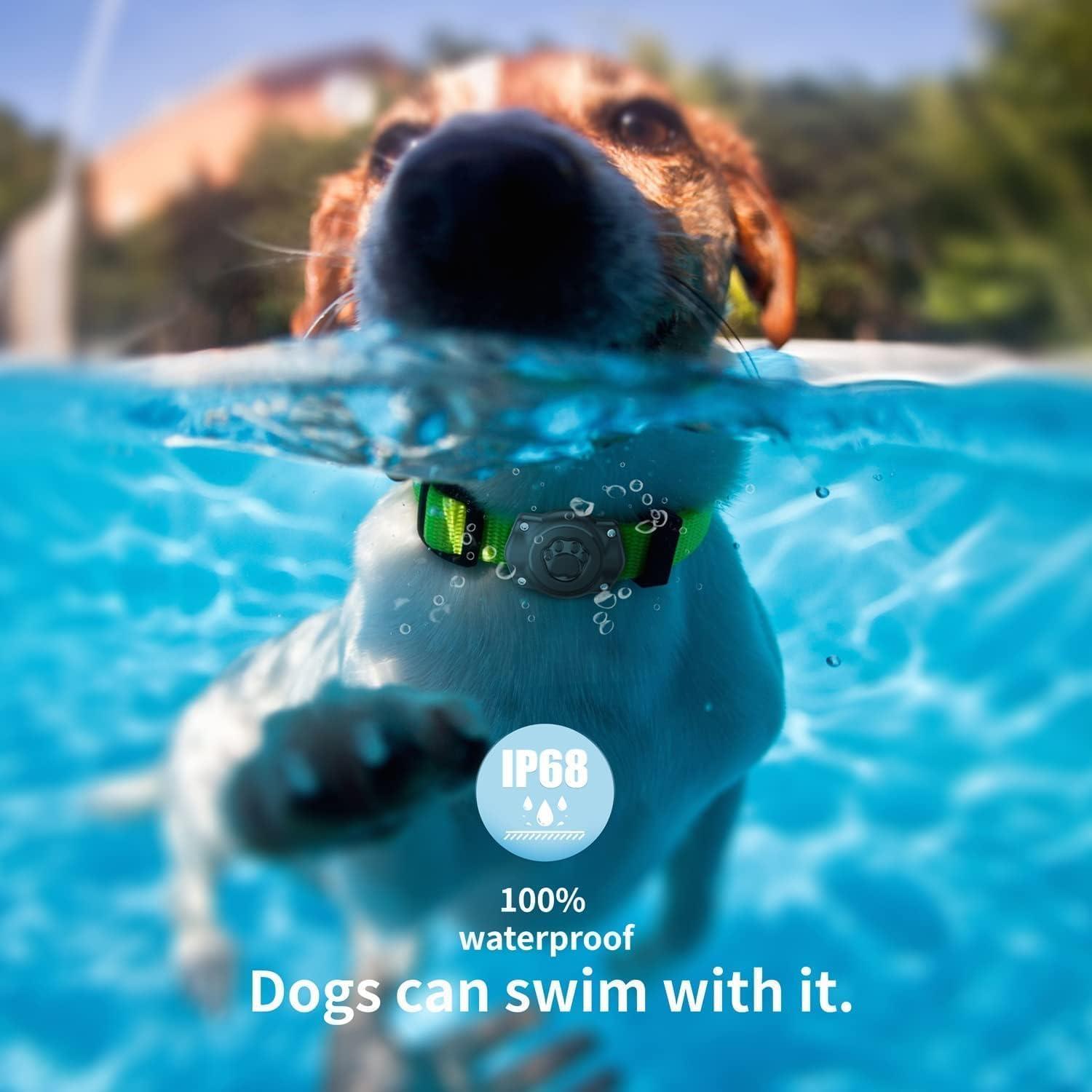 Soporte AirTag para Collar de Perro Odokele 100% Impermeable