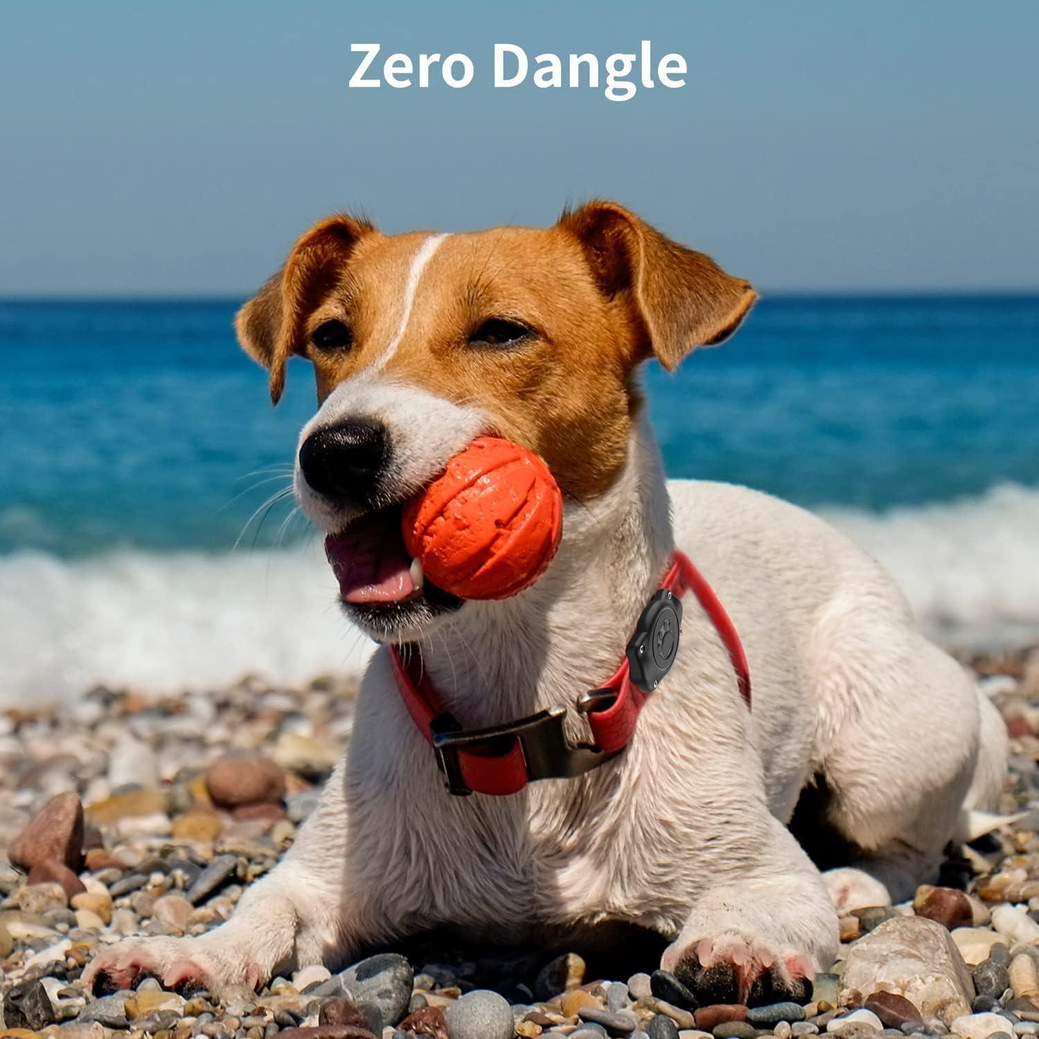 Soporte AirTag para Collar de Perro Odokele 100% Impermeable