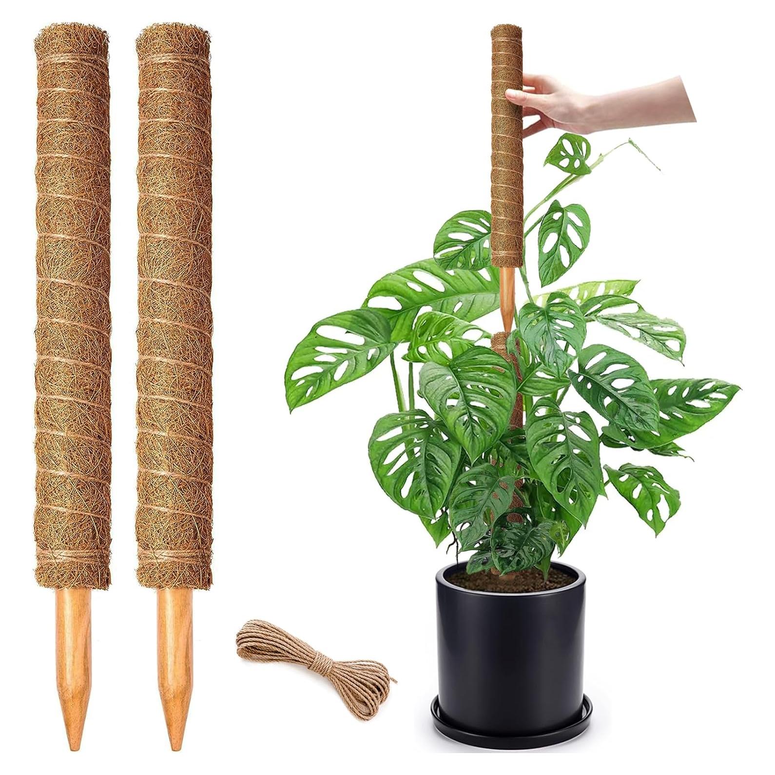 Postes de Musgo CHIAFFI 2 Piezas 43 cm para Plantas Trepadoras