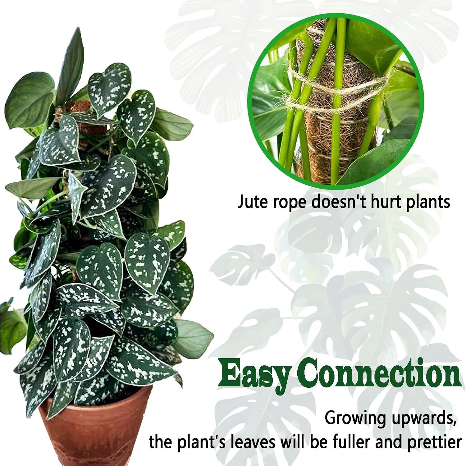 Postes de Musgo CHIAFFI 2 Piezas 43 cm para Plantas Trepadoras