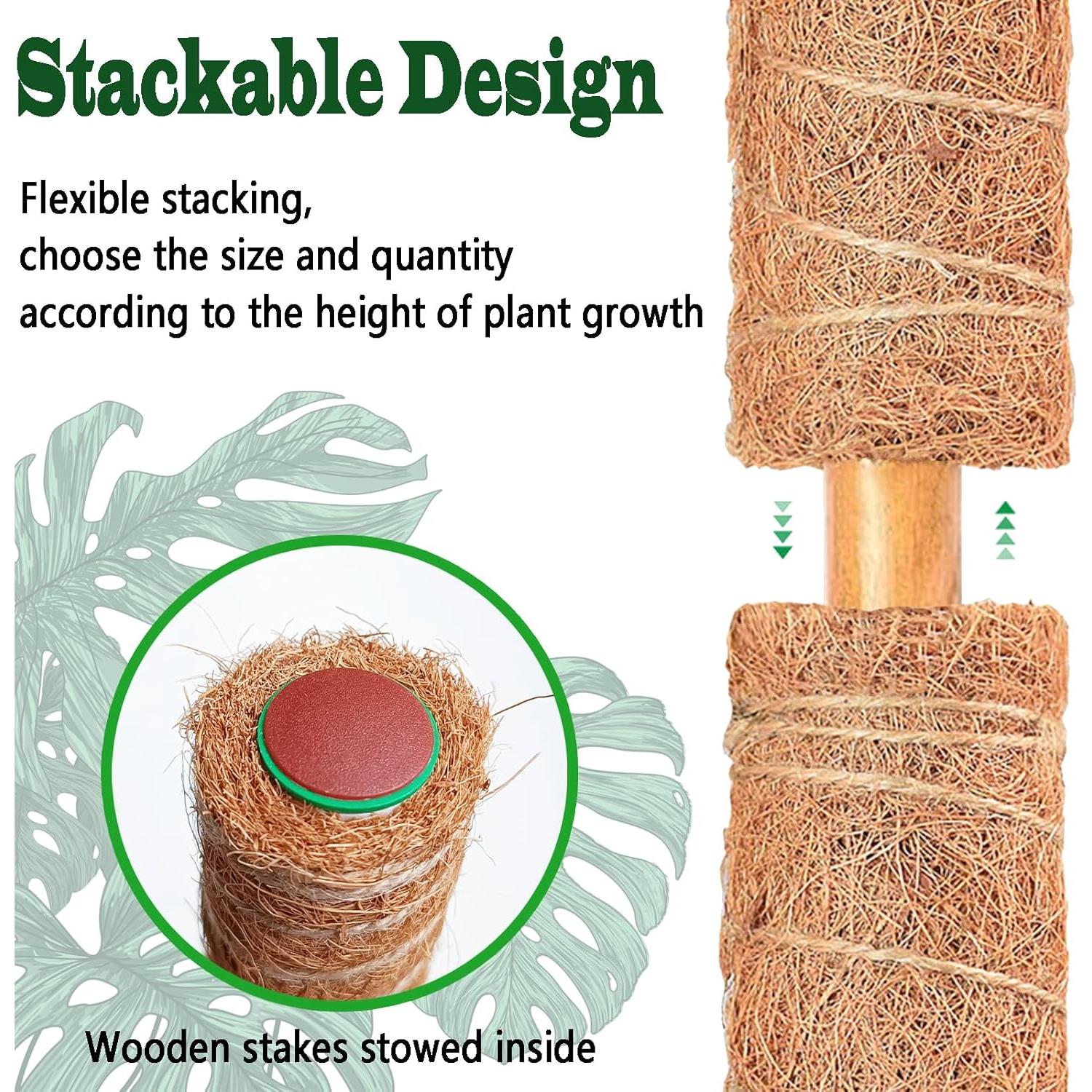 Postes de Musgo CHIAFFI 2 Piezas 43 cm para Plantas Trepadoras