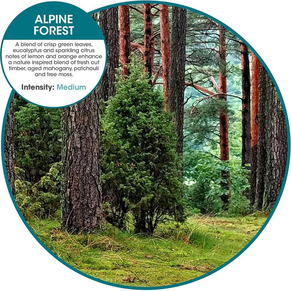 Ambientador Enchufable myfreshe Bosque Alpino 2 Paquetes