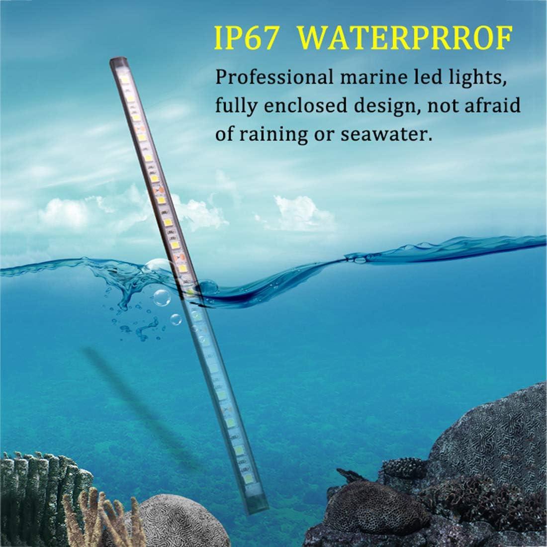 Luces de Navegación LED Botepon Proa Verde y Roja IP67