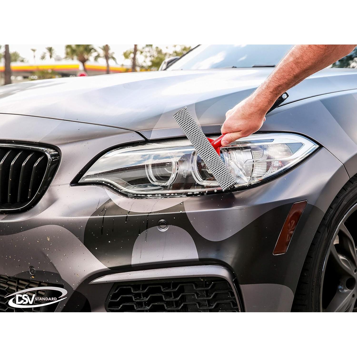 Limpiacristales DSV Estándar 20 cm 2-en-1 para Hogar y Coche