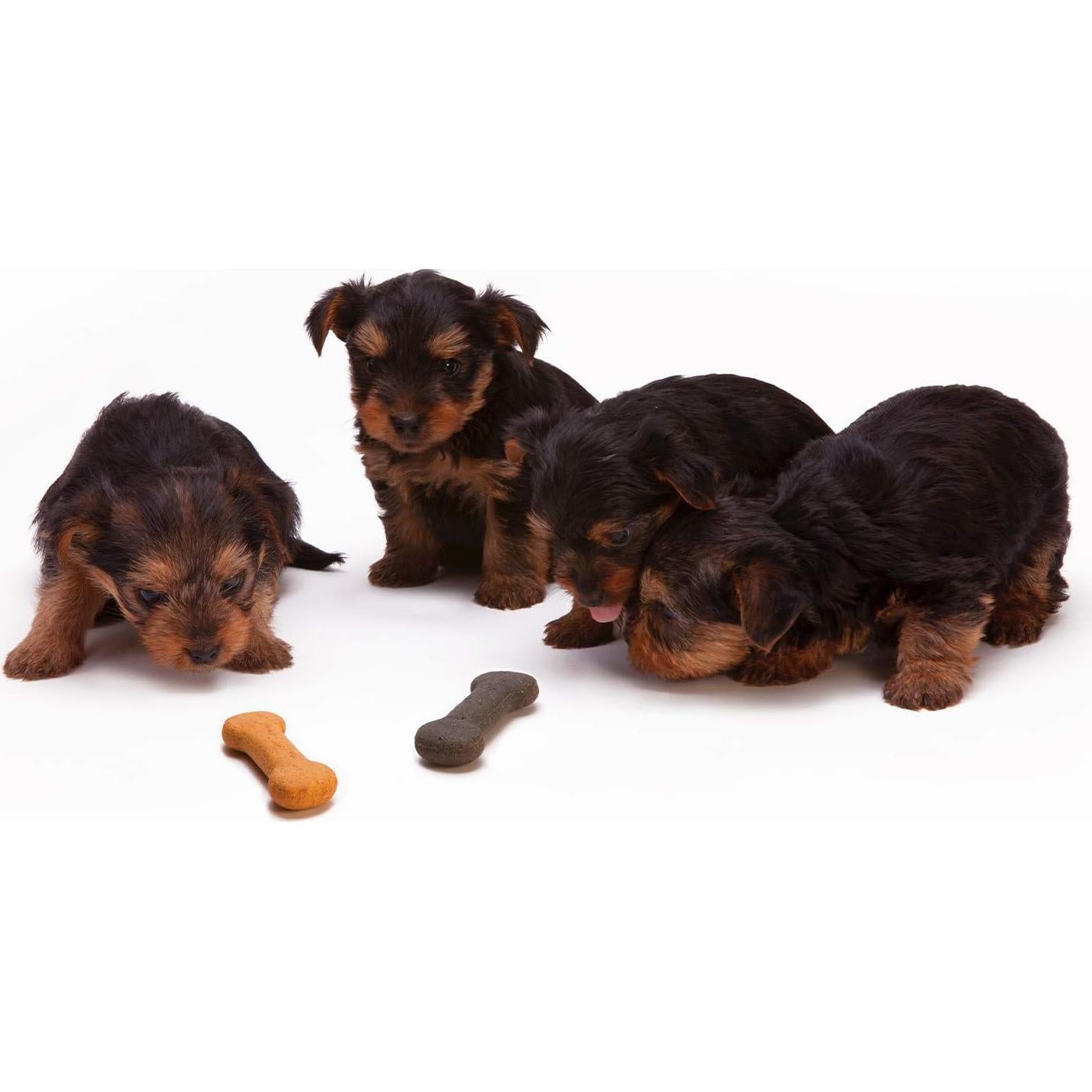 Julius Studio 9 x 13 ft. White, Black, Green Chromakey Background Backdrop Screen Bundle, Premium High Density > 150GSM Fabric A+ Grade, Wrinkle Resistant, Video Studio, Party, Events, PROMO05_AM1