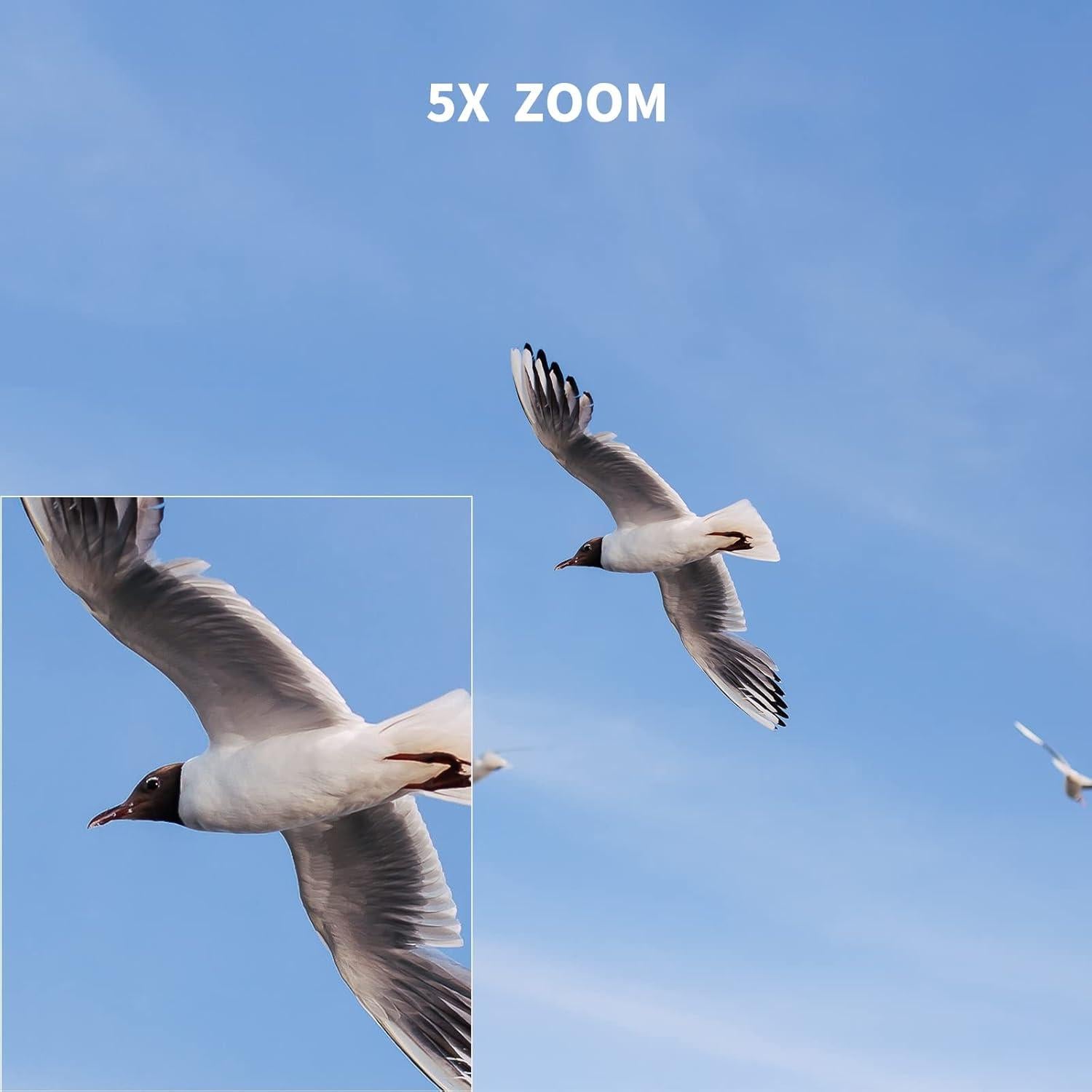 Cámara de Acción SJCAM SJ4000 4K 40MP EIS Submarina WiFi