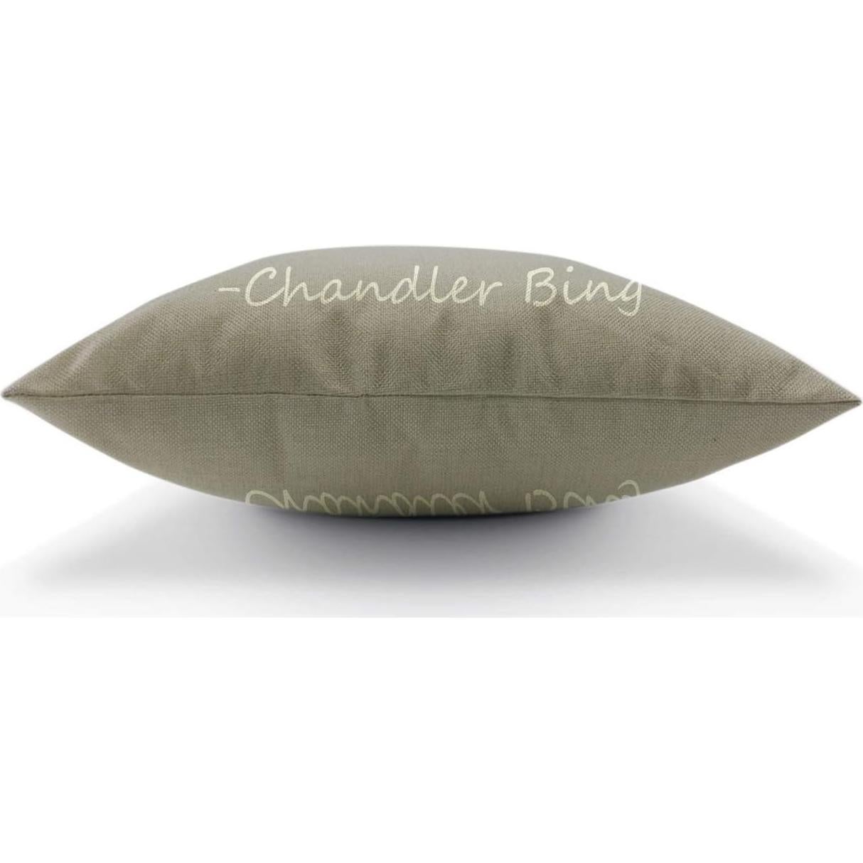 HGOD DESIGNS Cushions are The Essence of The Chair Quote Pillow Case 18X18 inches Squares Couch Sofa Cushion Covers Cotton Linen