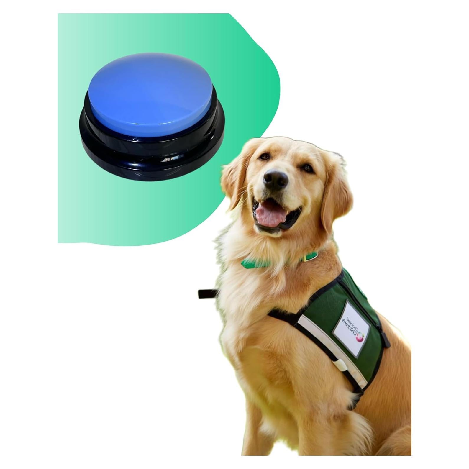 Botón de Habla para Perros Damei - Grabación 30 Segundos Azul