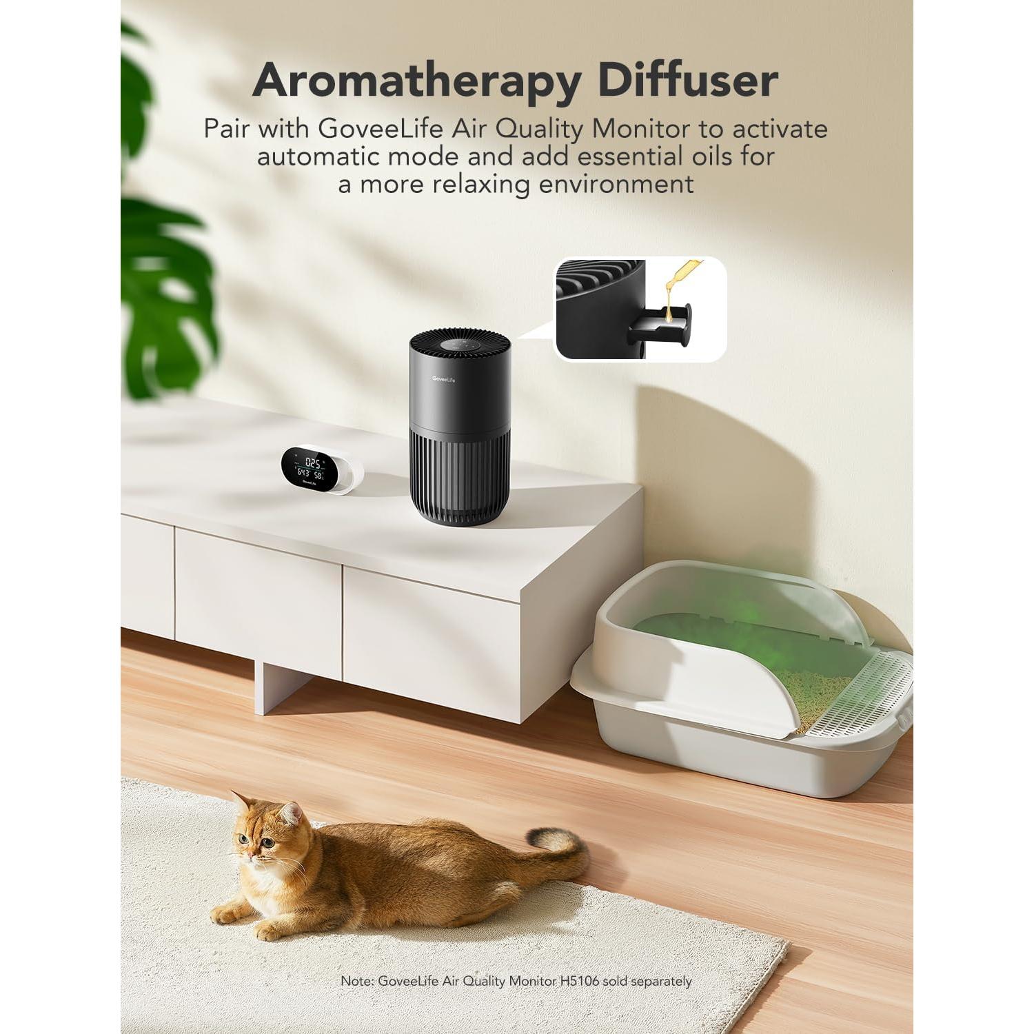 Purificador de Aire GoveeLife Mini HEPA Inteligente Negro