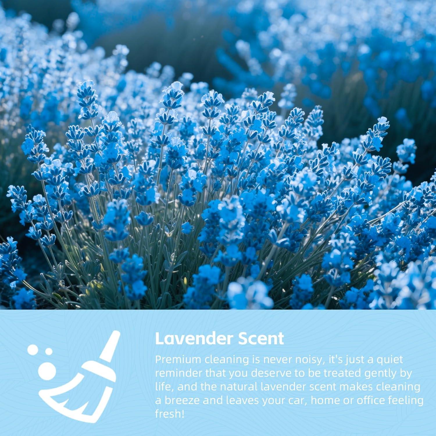 Gel de Limpieza Universal COLORCORAL 160g Aroma Lavanda