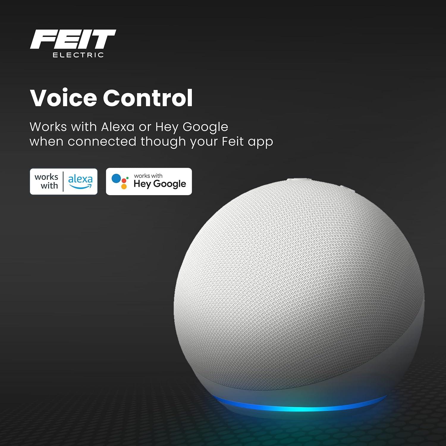 Tira de Luz LED Inteligente Feit Electric 4.88m RGBW Control Remoto