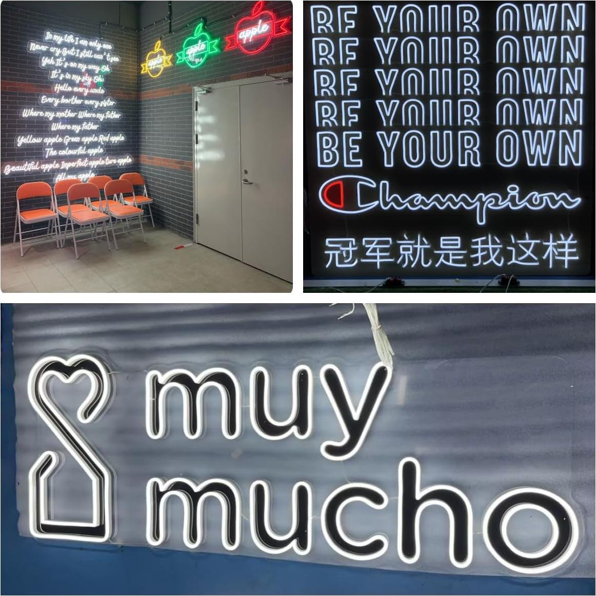 Tira de luz LED de neón Shun Ying Wanda 5m 12V IP65