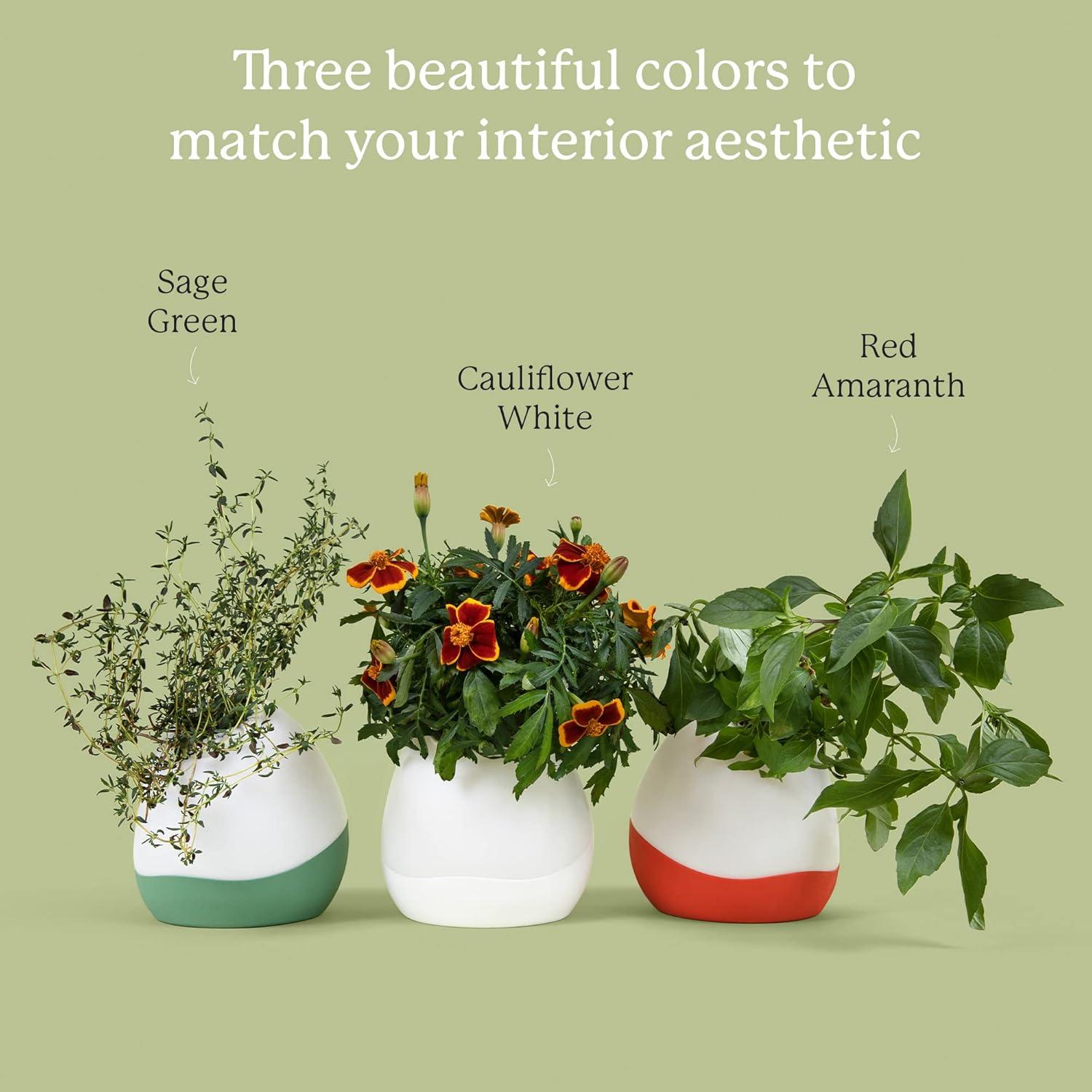 Gardyn Vase Complete Kit-Cauliflower White | Designed for use with Gardyn Hydroponics Growing System Kits & Vertical Garden Hydroponic Gardens | Bring Gardyn’s Indoor Plants to All Areas of Your Home