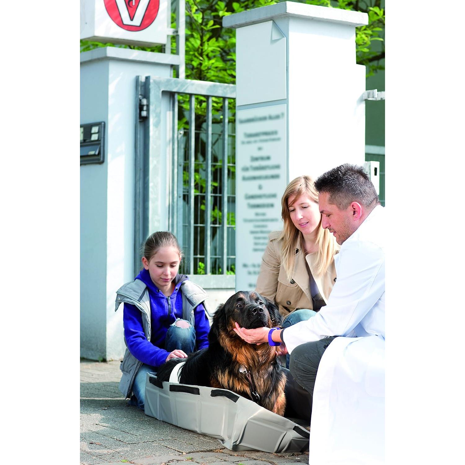 Clever Tank Mediano Plegable 49L Gris - Tanque Portátil Resistente