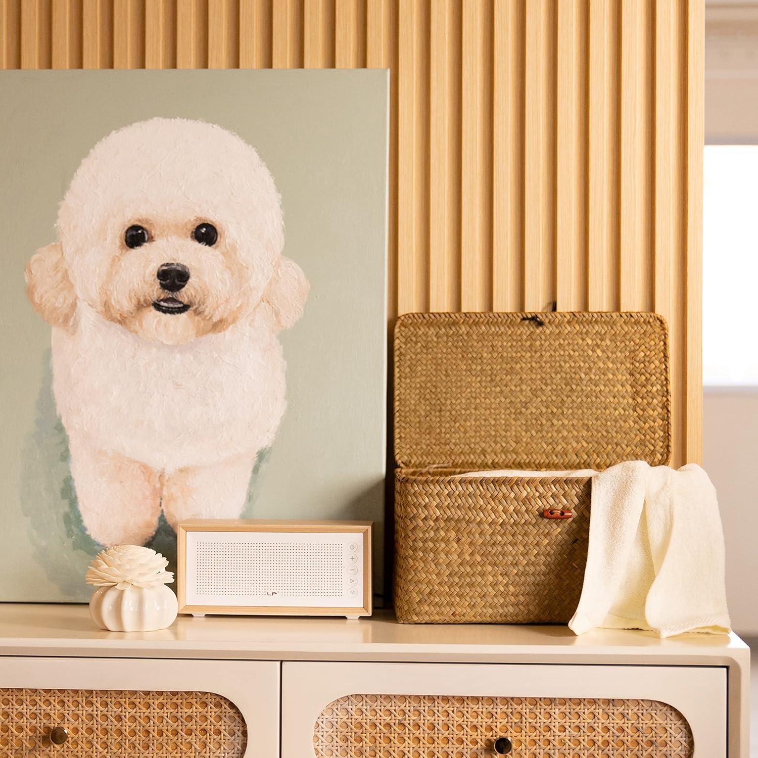 Cestas de Almacenamiento YANGQIHOME 4 Piezas Mimbre Natural