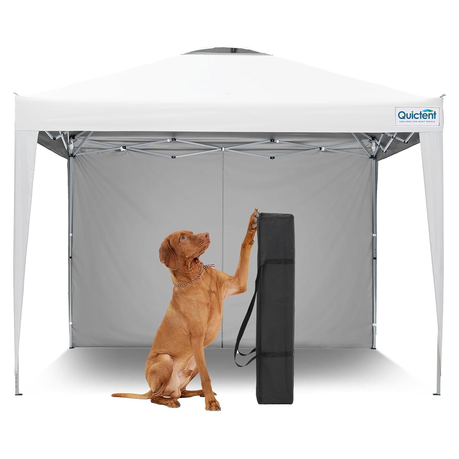 Carpa Plegable Quictent 10x10 con Pared Lateral Blanca