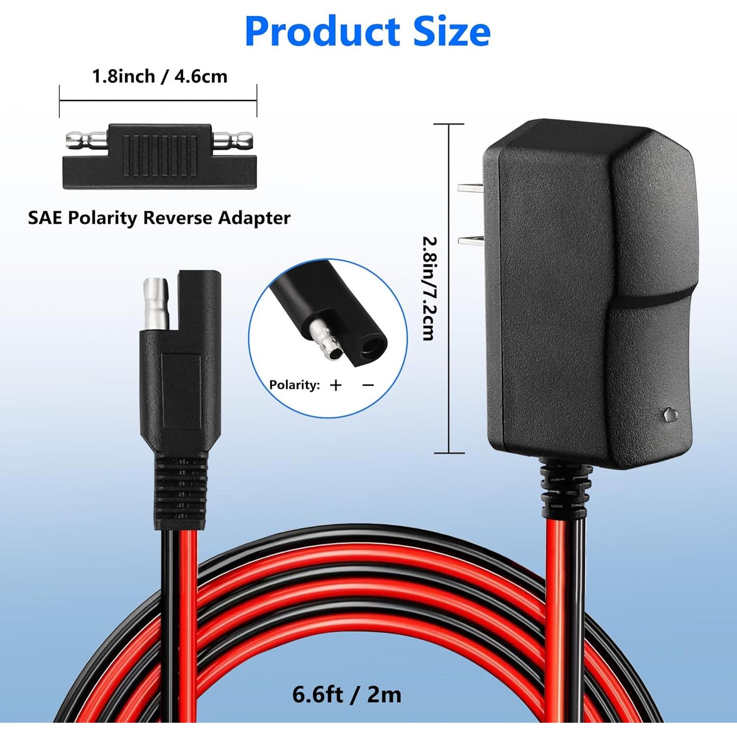 Cargador 6V BXIZXD para Cuatrimoto Disney y ATV