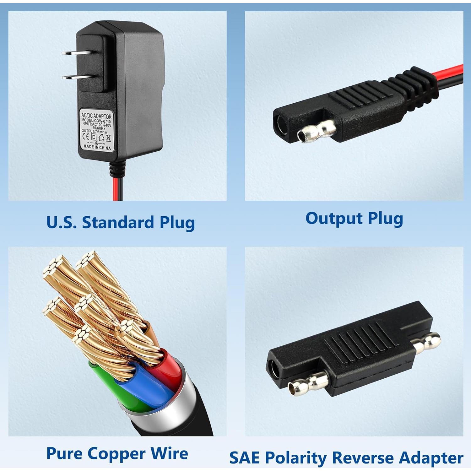 Cargador 6V BXIZXD para Cuatrimoto Disney y ATV