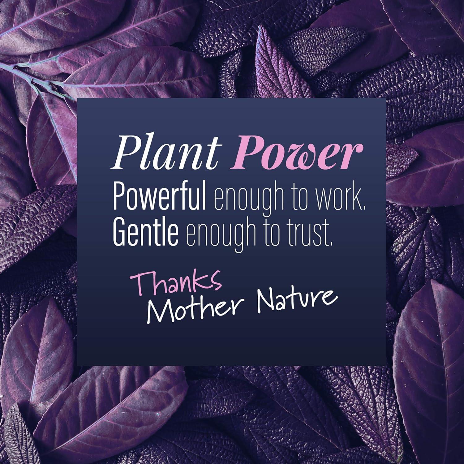 Limpiador Ultrasónico Calyptus 226.8g - Concentrado Natural