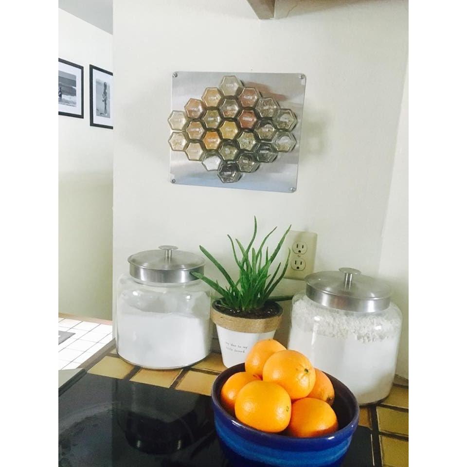 Gneiss Spice Stainless Finish Wall Plate Base for Magnetic Spice Jars, Medium 10x12 Inches (Jars Not Included)