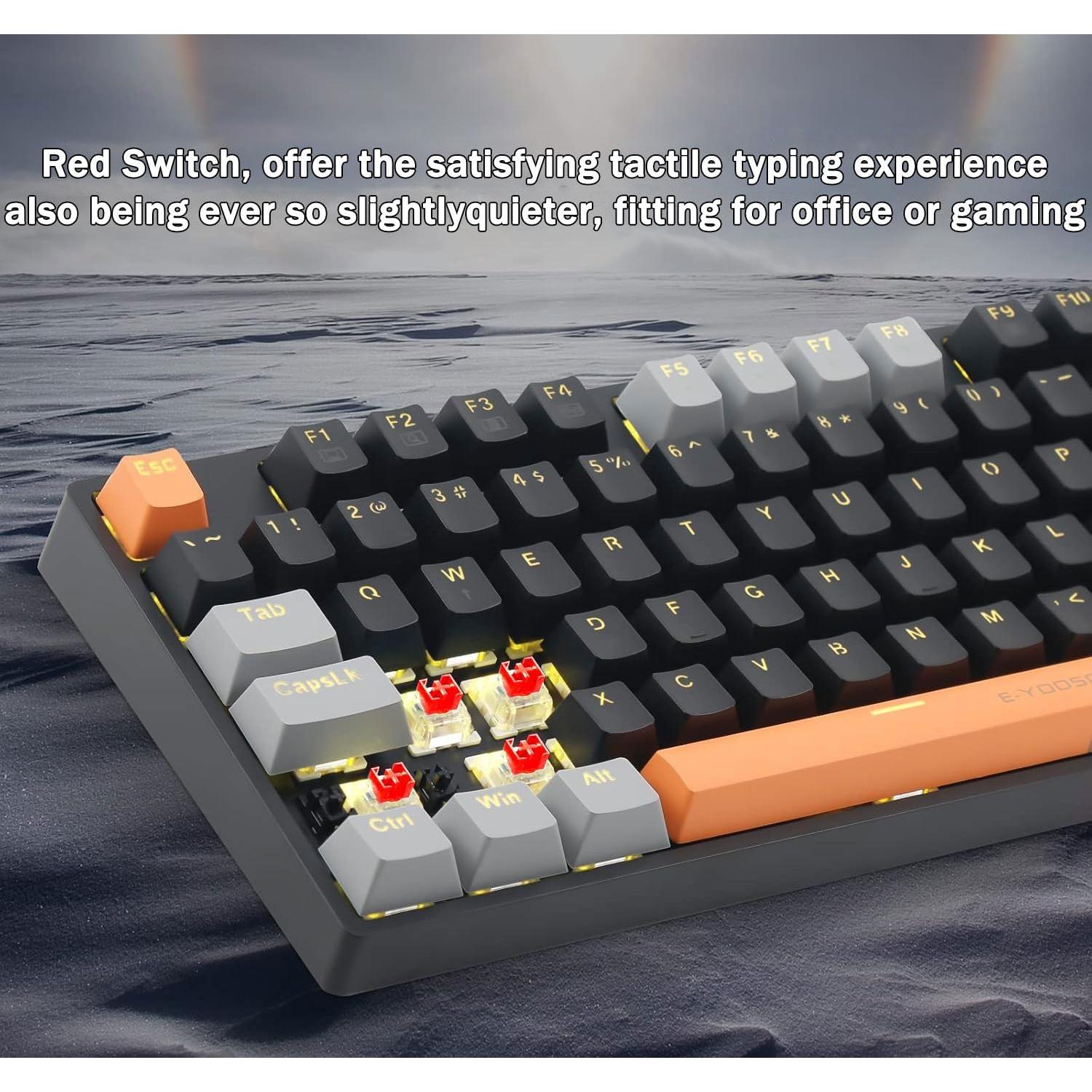Teclado Mecánico E-YOOSO Z-14 Interruptores Rojos 104 Teclas