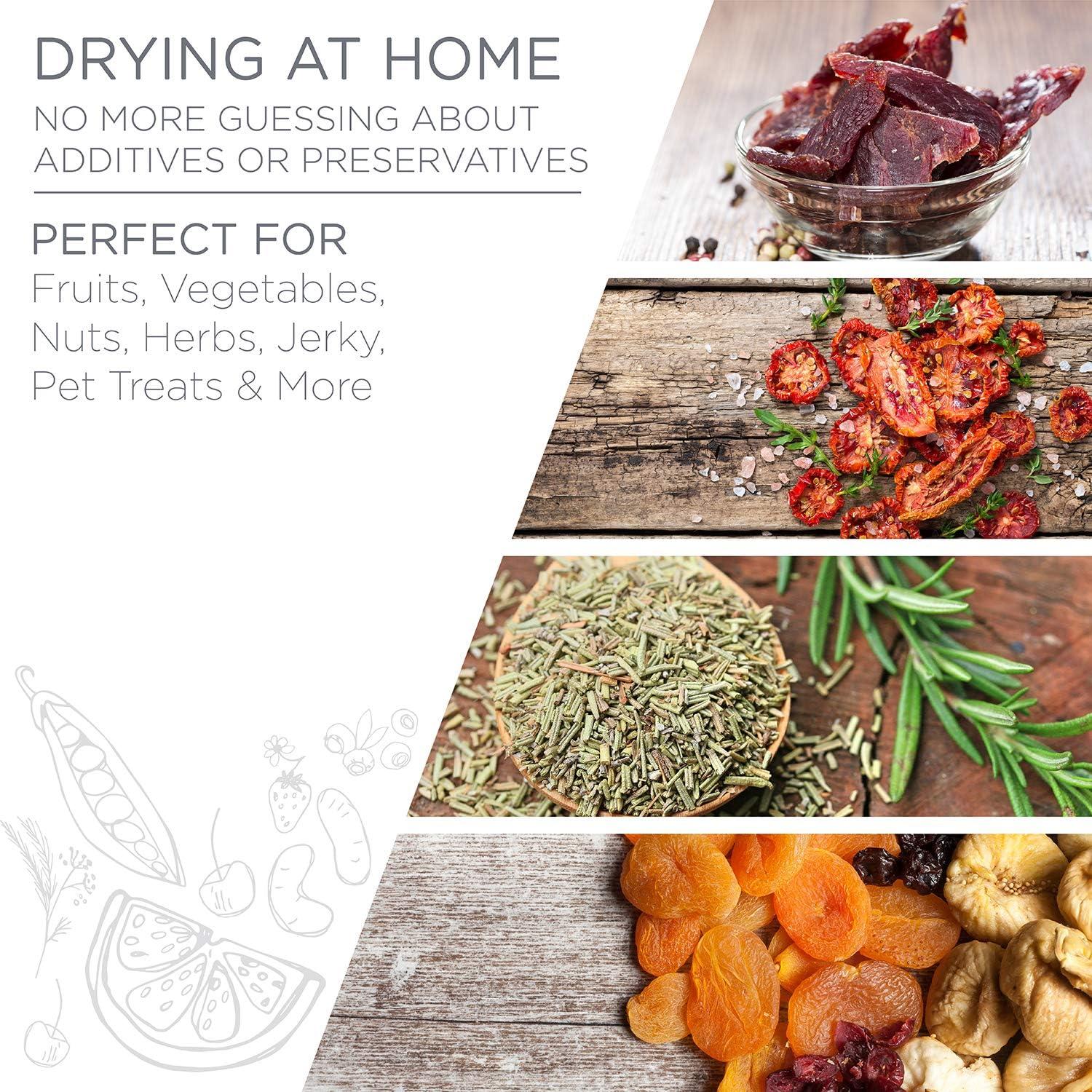 Deshidratador de Alimentos Ivation 6 Bandejas 480W Digital