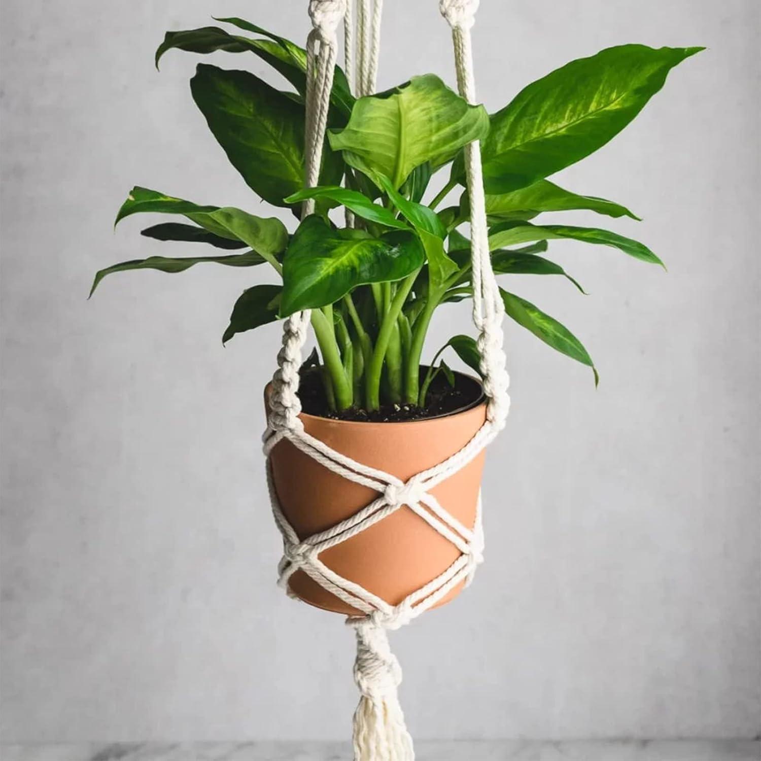 Cuerda de Algodón 6mm x 30m jijAcraft Blanca para Manualidades