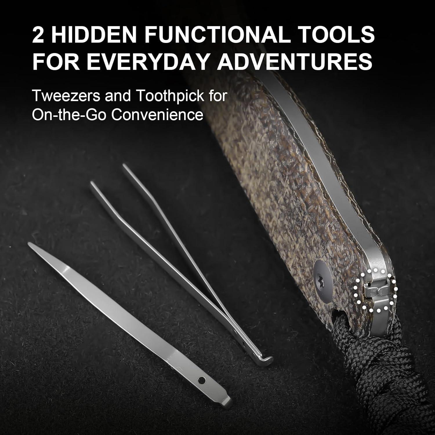 Cuchillo Fijo Kizer Drop Bear 6.53 cm Acero 14C28N con Funda