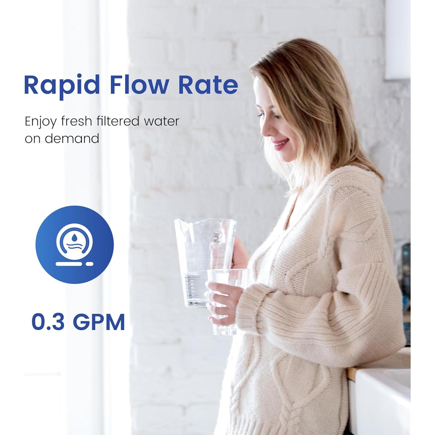 Filtro de Reemplazo Waterspecialist WS-PF-01A para Jarras