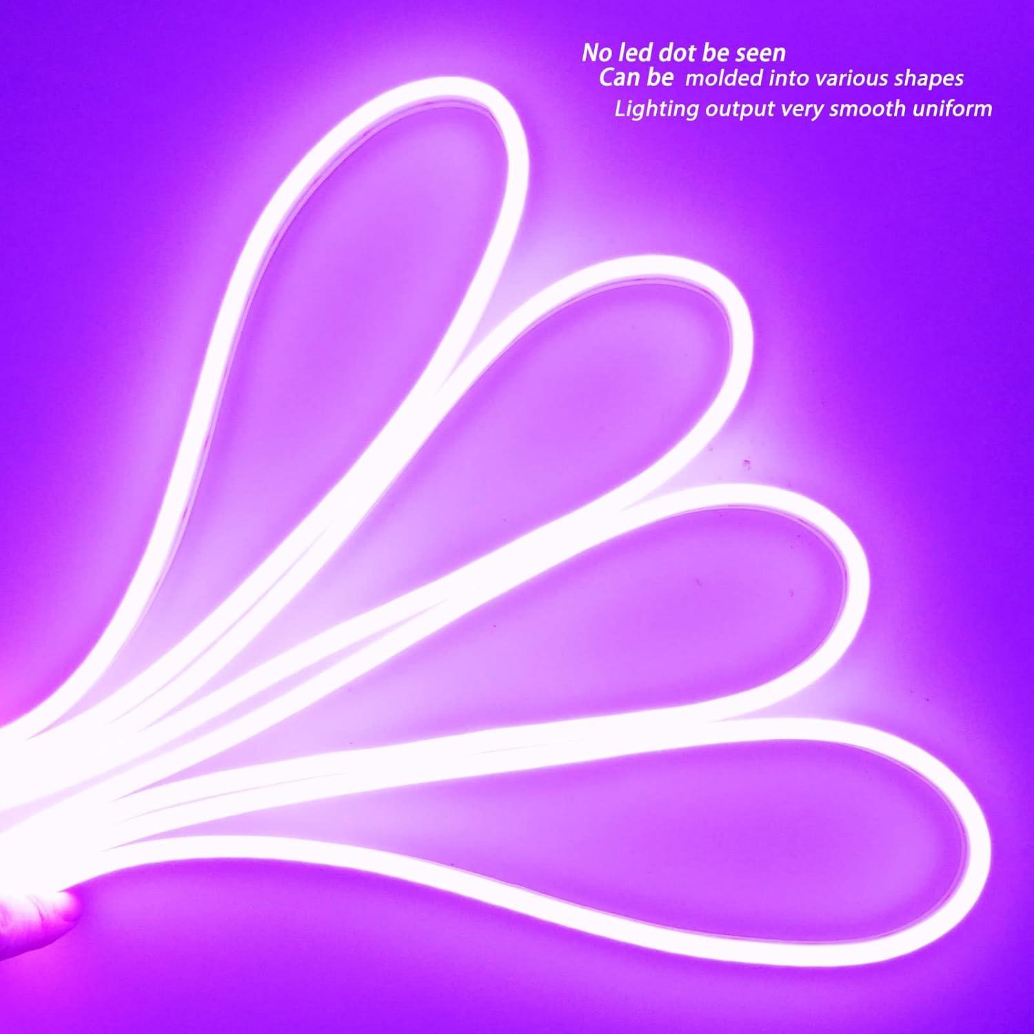 Luz de tira LED de neón morado 5M YM E-Bright IP67