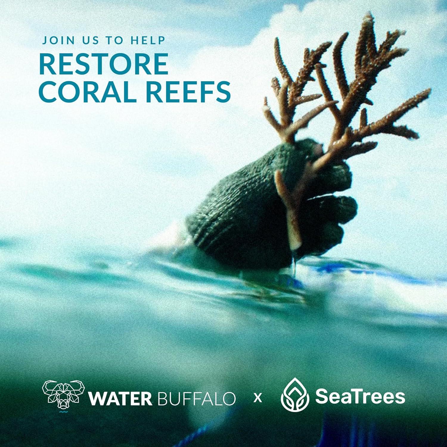 Silla de Playa Plegable Water Buffalo Bondi - 3 Posiciones, Portavasos