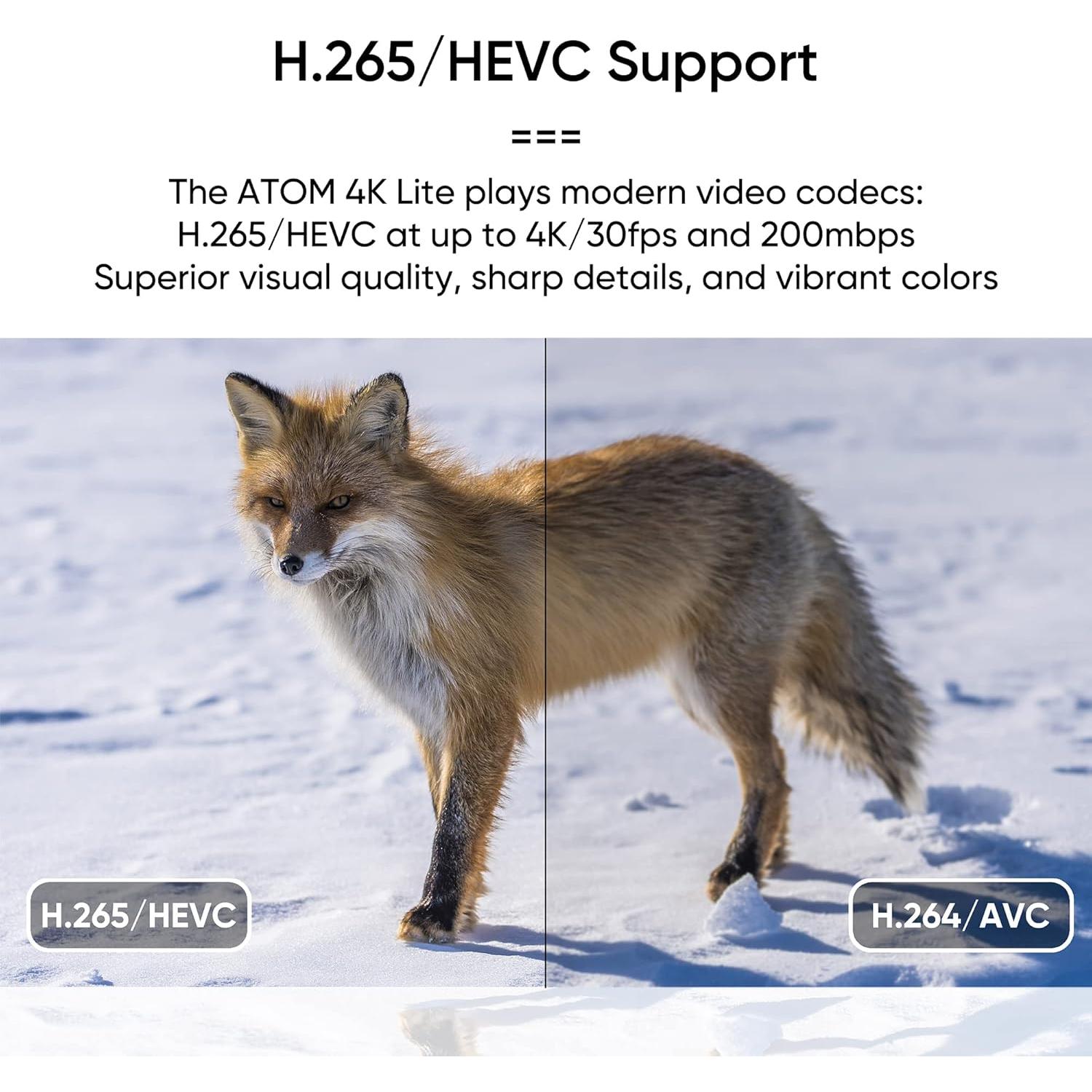 Reproductor de Medios Digitales NEUMI Atom 4K Lite HDMI