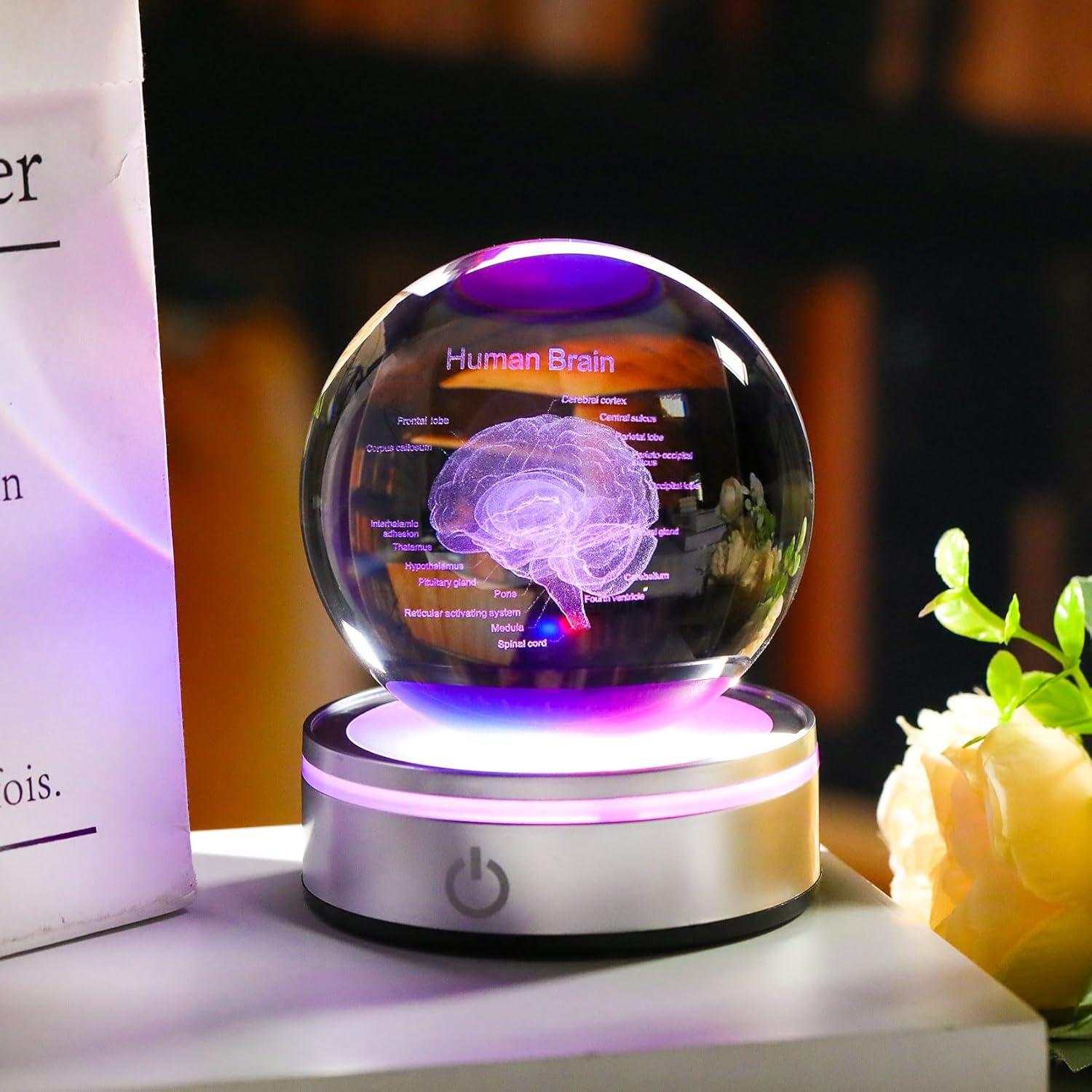 Enjinkail Brain Gifts for Neurologist, Laser Ethced Human Brain Anatomical Model 3D Crystal Ball, Brain Surgery Gifts for Doctors, Physiology Graduation Gifts for Medical Students for Christmas