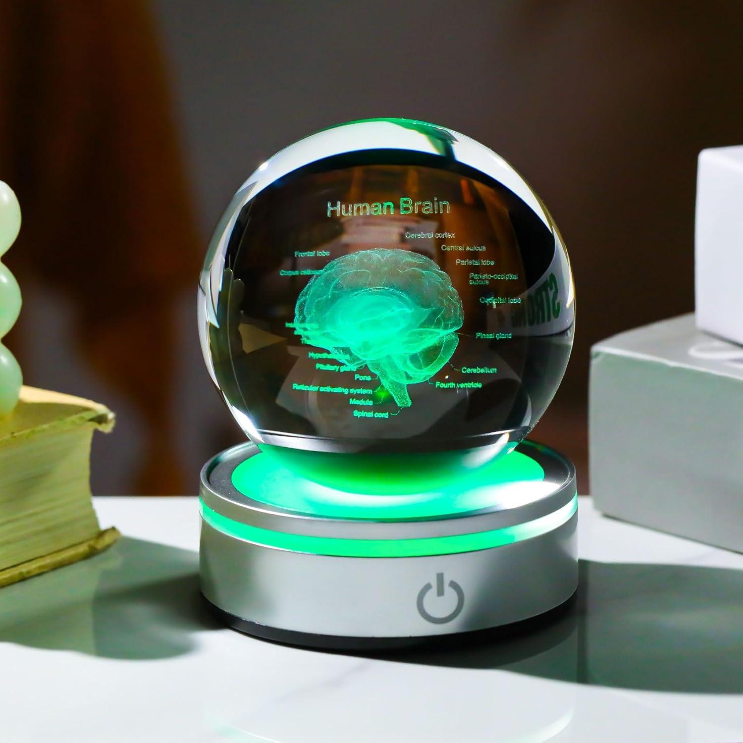 Enjinkail Brain Gifts for Neurologist, Laser Ethced Human Brain Anatomical Model 3D Crystal Ball, Brain Surgery Gifts for Doctors, Physiology Graduation Gifts for Medical Students for Christmas