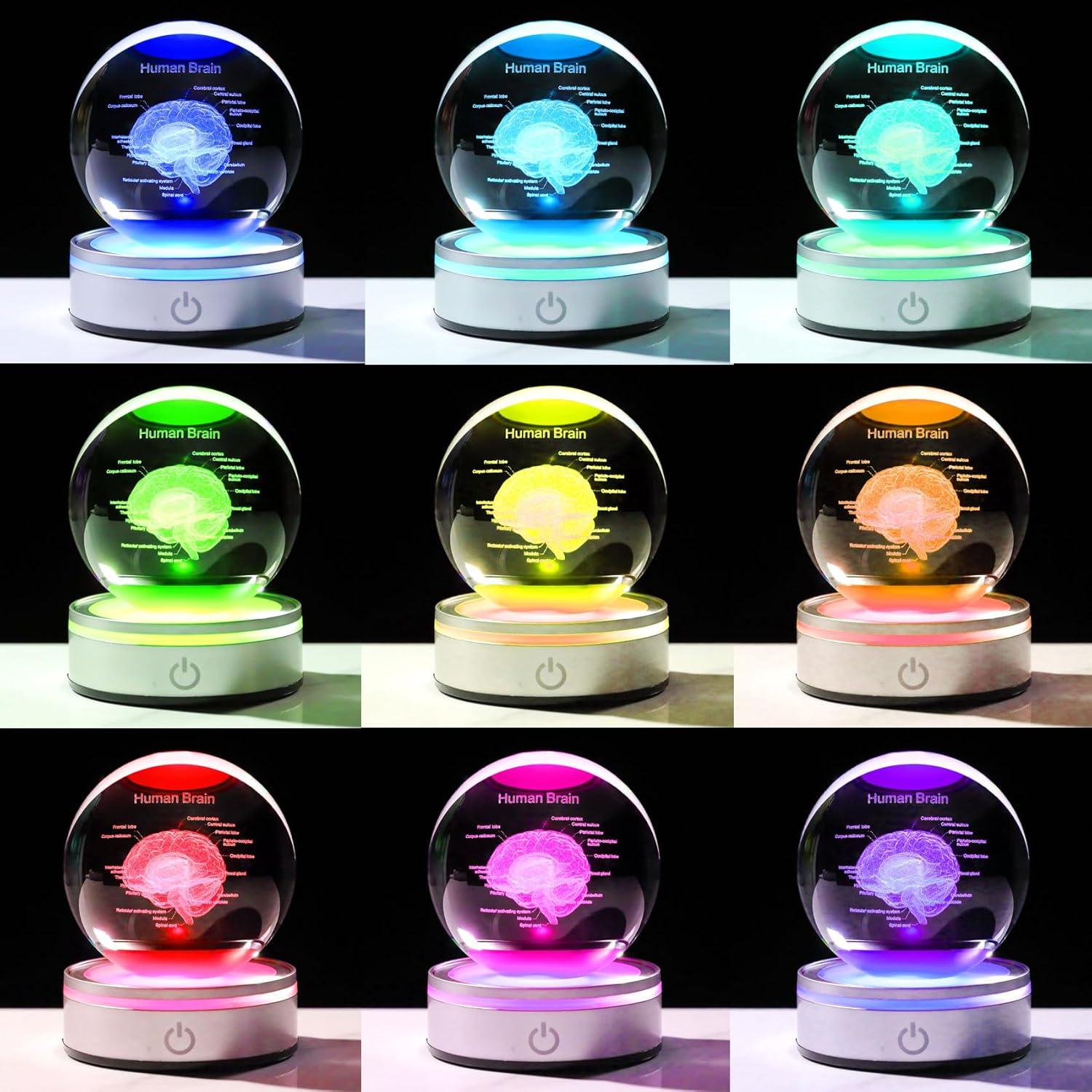 Enjinkail Brain Gifts for Neurologist, Laser Ethced Human Brain Anatomical Model 3D Crystal Ball, Brain Surgery Gifts for Doctors, Physiology Graduation Gifts for Medical Students for Christmas