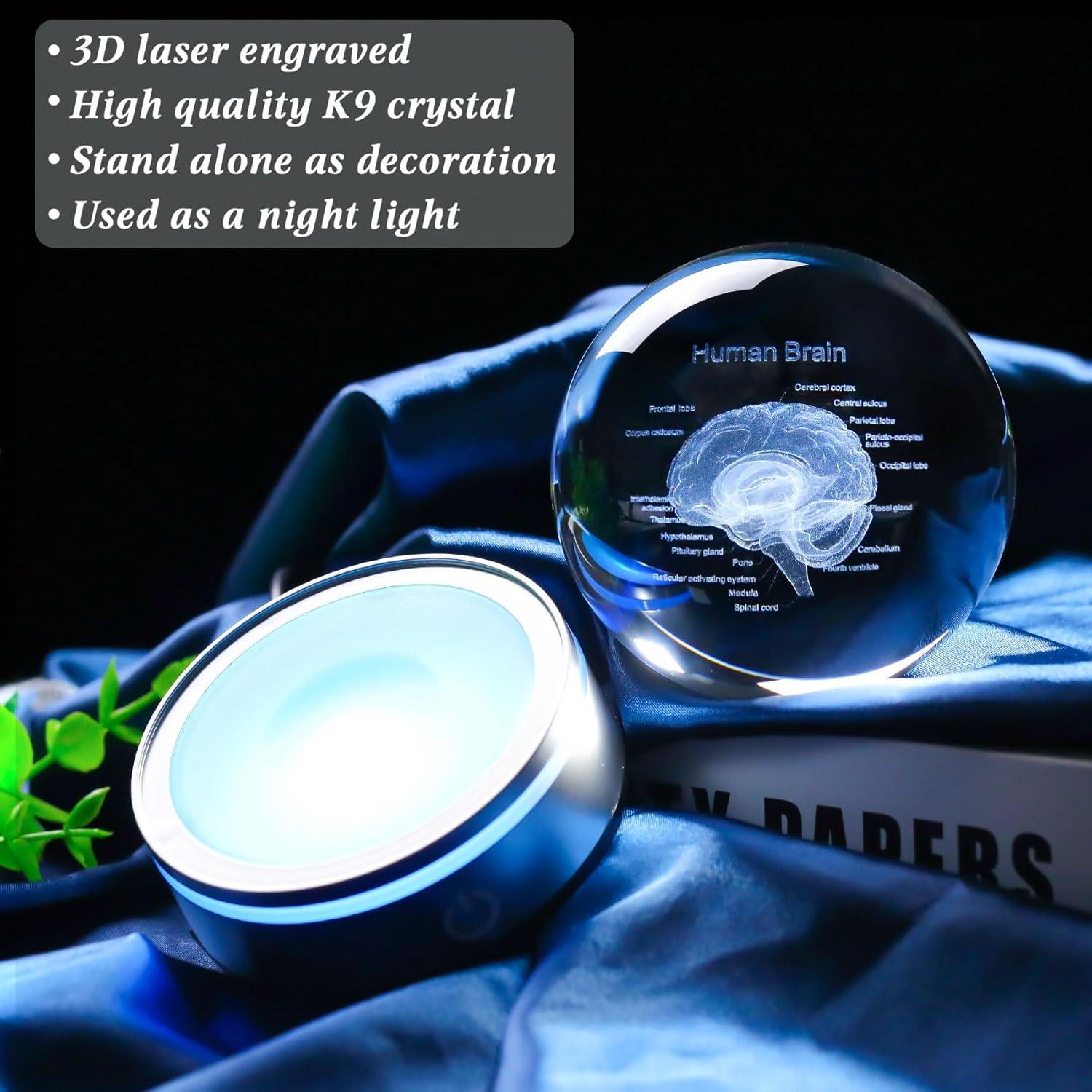 Enjinkail Brain Gifts for Neurologist, Laser Ethced Human Brain Anatomical Model 3D Crystal Ball, Brain Surgery Gifts for Doctors, Physiology Graduation Gifts for Medical Students for Christmas