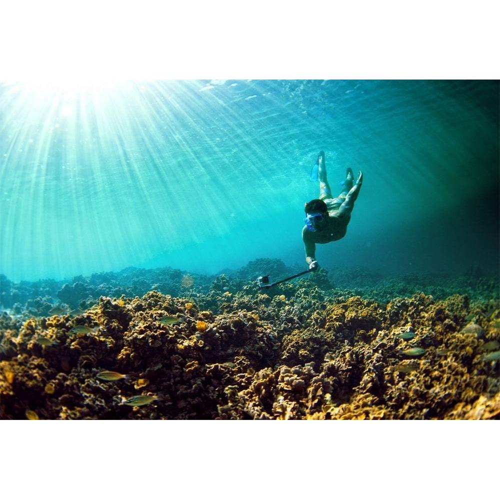 Palanca de Selfie Extensible Homeet 19" (48.3 cm) para Cámara de Acción