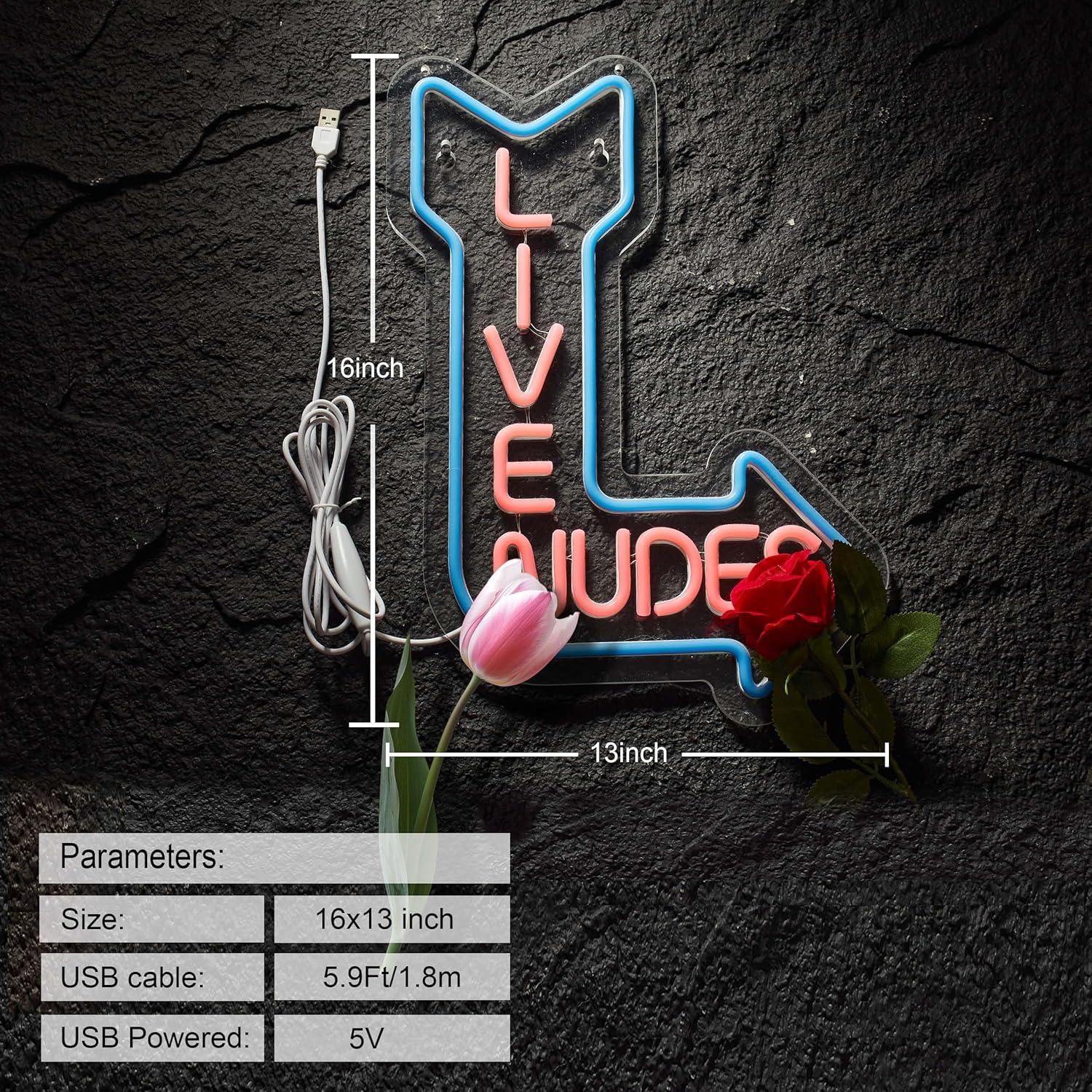 Letrero de neón LED ZODZ 38x33 cm con regulador azul y rosa