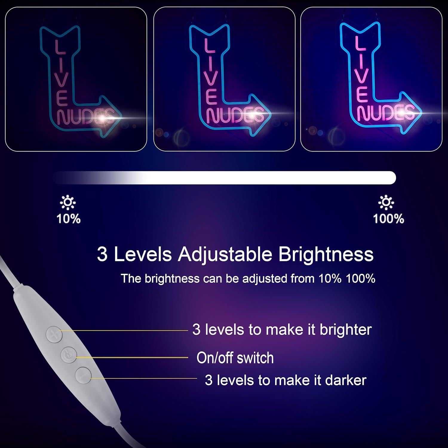 Letrero de neón LED ZODZ 38x33 cm con regulador azul y rosa