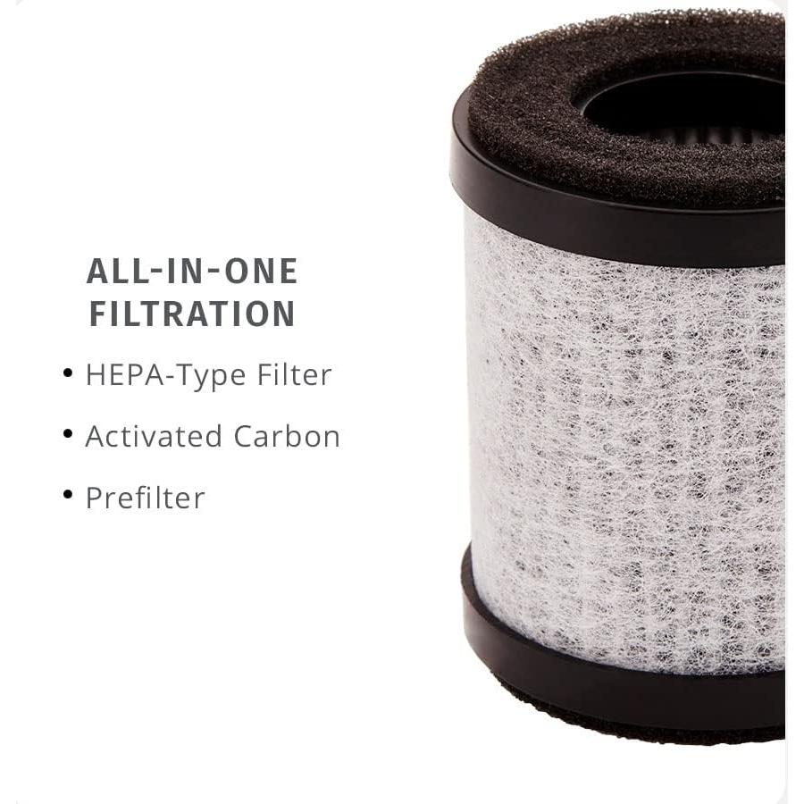 Filtro de Reemplazo HEPA-Tipo 3-en-1 Homedics AP-P60, Paquete de 3