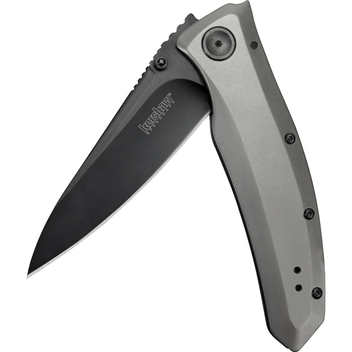 Cuchillo de bolsillo Kershaw Leek 7.62 cm acero inoxidable EDC